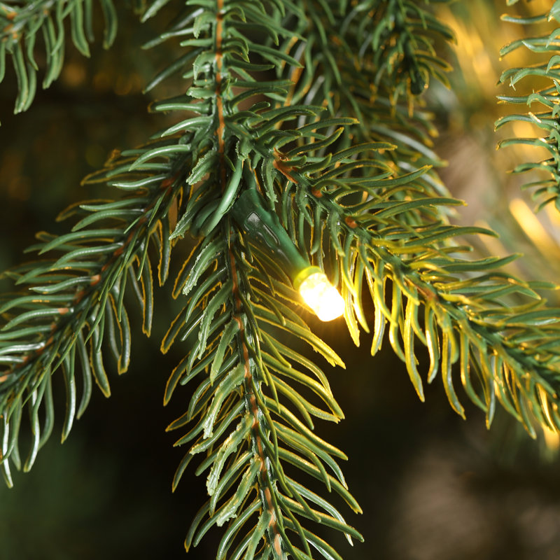 Sapin de Noël vert Aldred Radiant Evergreen, 11'