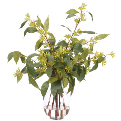 Eucalyptus, vase en verre vert, l 30 po x P 25 po