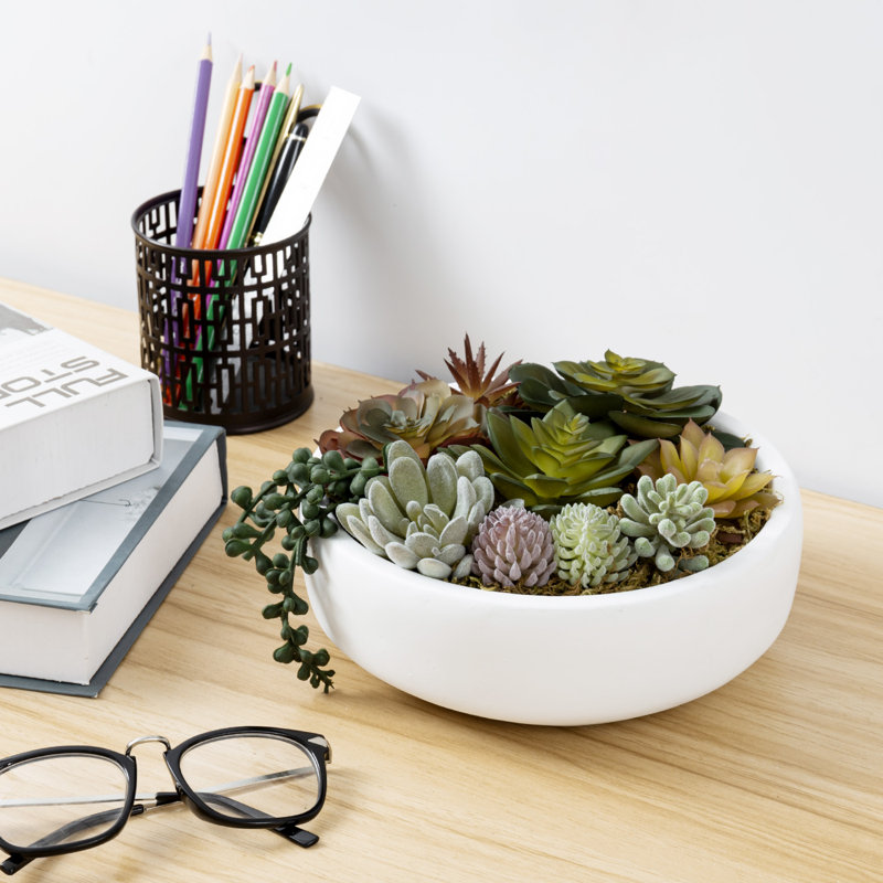 Fausse plante grasse en pot 4,3 po