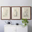 House House IV - ensemble de 3 reproductions de cadres photo-1705654095-1705654088