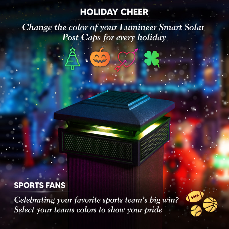 Black Aluminum LED Solar Post Cap Light with Dusk to Dawn Sensor