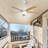 Julicia 52'' Ceiling Fan with LED Lights and Wall Switch-363906768