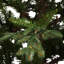 5' Lighted Artificial Fir Christmas Tree