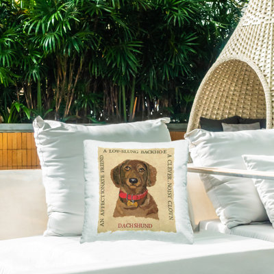 Coussin décoratif d'extérieur Fun Dachshund par Nancy Overton