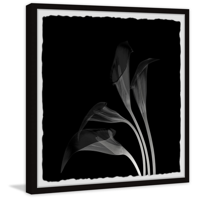 Lovely Lillies - Single Picture Frame Painting, 81cm H x 81cm W x 3.81cm D