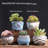 5 Pcs Small Pots