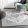 Akash Oriental Indoor Rug
