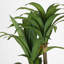 Faux arbre Dracaena de 59 po