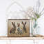 Bunnies In The Grass-1449515480