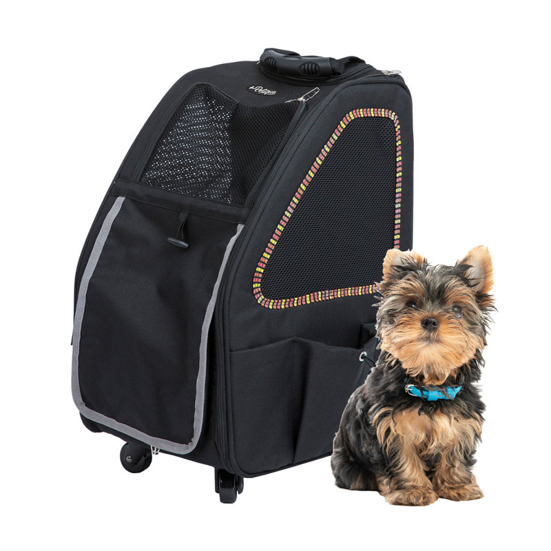 Petique's 5-in-1 Pet Carrier, Sunset Strip