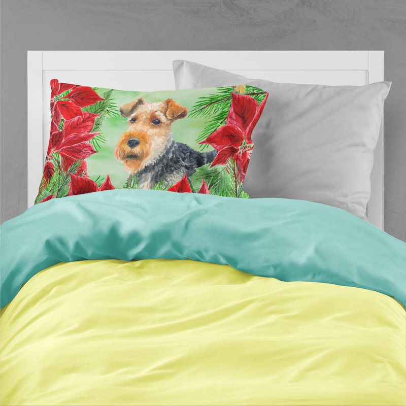 Microfiber, Welsh Terrier