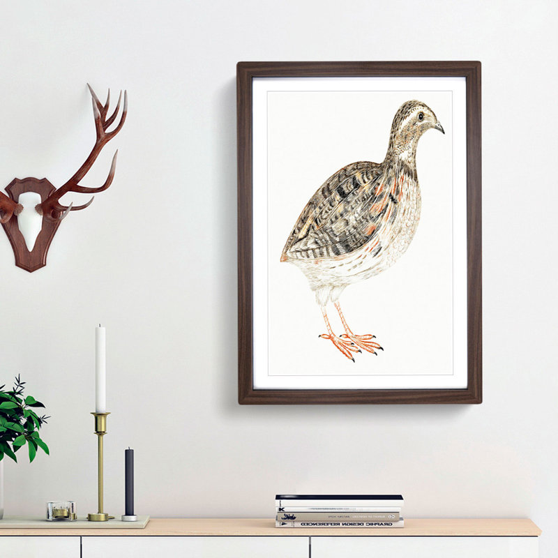A Quail by Johan Teyler - Single Picture Frame Painting, 63cm H x 45cm W x 2cm D, Walnut Framed