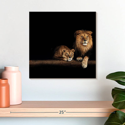 Crowle lion et lionne