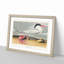 Cayenne Tern Bird with Crab by John James Audubon - Framed Print-55621043-55621042