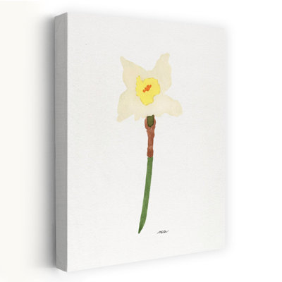 Fleurs fraîches de jonquille délicate, minimaliste, minimaliste, jonquille, nature, art mural