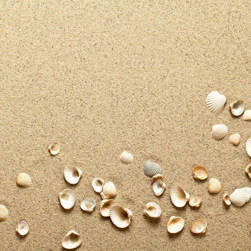 Seashell Printed Showers Curtain
