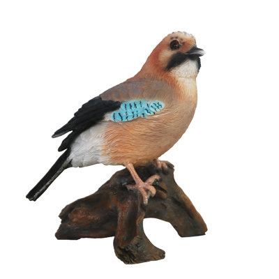 Eurasian Jay on Trunk