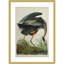 «Great Blue Heron in Pearl White» par John James Audubon, reproduction d'art encadrée sur bois-112631576