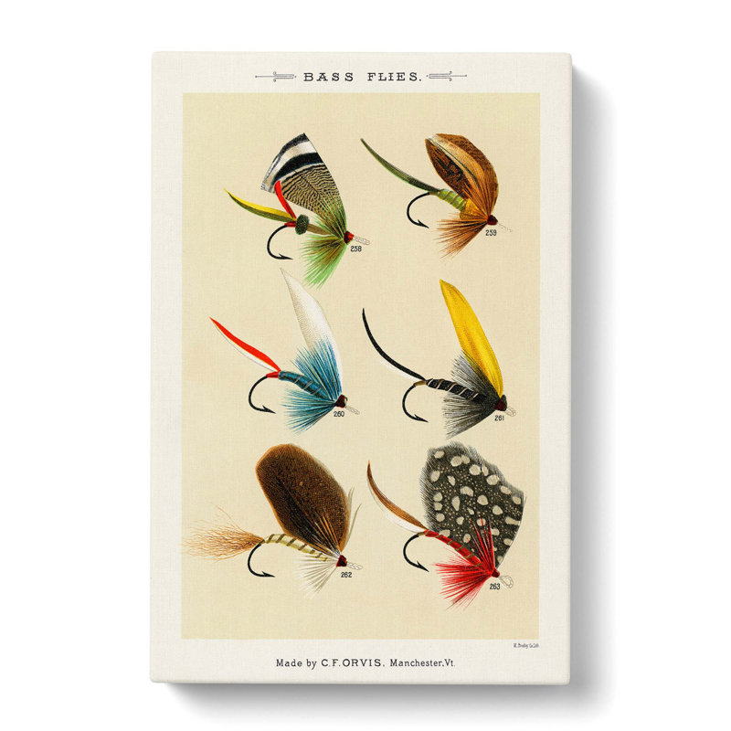 Bass Fishing Flies Versions 4 by Mary Orvis Marbury - Wrapped Canvas Painting, 91cm H x 60cm W x 3cm D