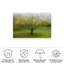 Arne Ostlund, le chat par l'arbre sur toile par Arne Ostlund-577477045