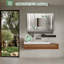 Daciano 100cm W 60cm H Surface Mount Mirror Cabinet 