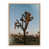 White Oak Floater Framed is unavailable
