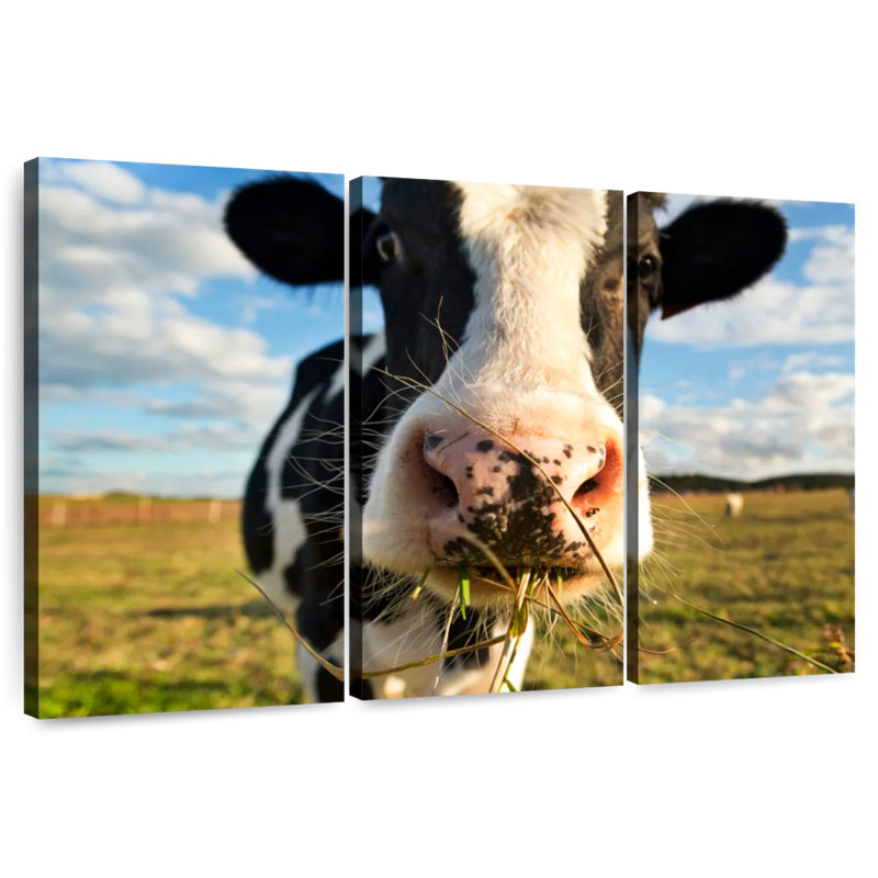Brampt Cow Selfie, 20" H x 33" W