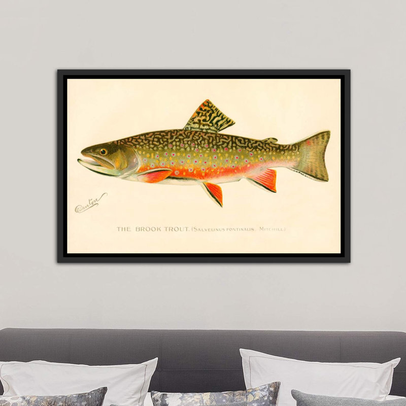 The Brook Trout - impression d'art graphique, H 26 po x l 40 po x 1,5 po, Toile avec cadre noir patiné
