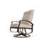 Belle Isle Outdoor Lounge Chair-1559754405-1559754404