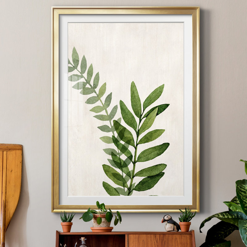 Botanical Wash II - reproduction d'art sur papier, H 30,5 po x l 42,5 po x P 1,5 po, Papier encadré doré