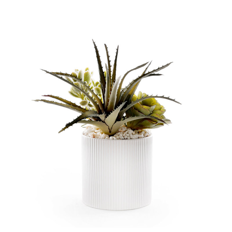 Faux Succulent Plant in Ceramic Planter