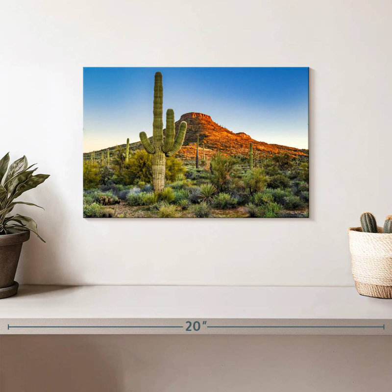 Désert de Sonoran, H 8 po x l 12 po