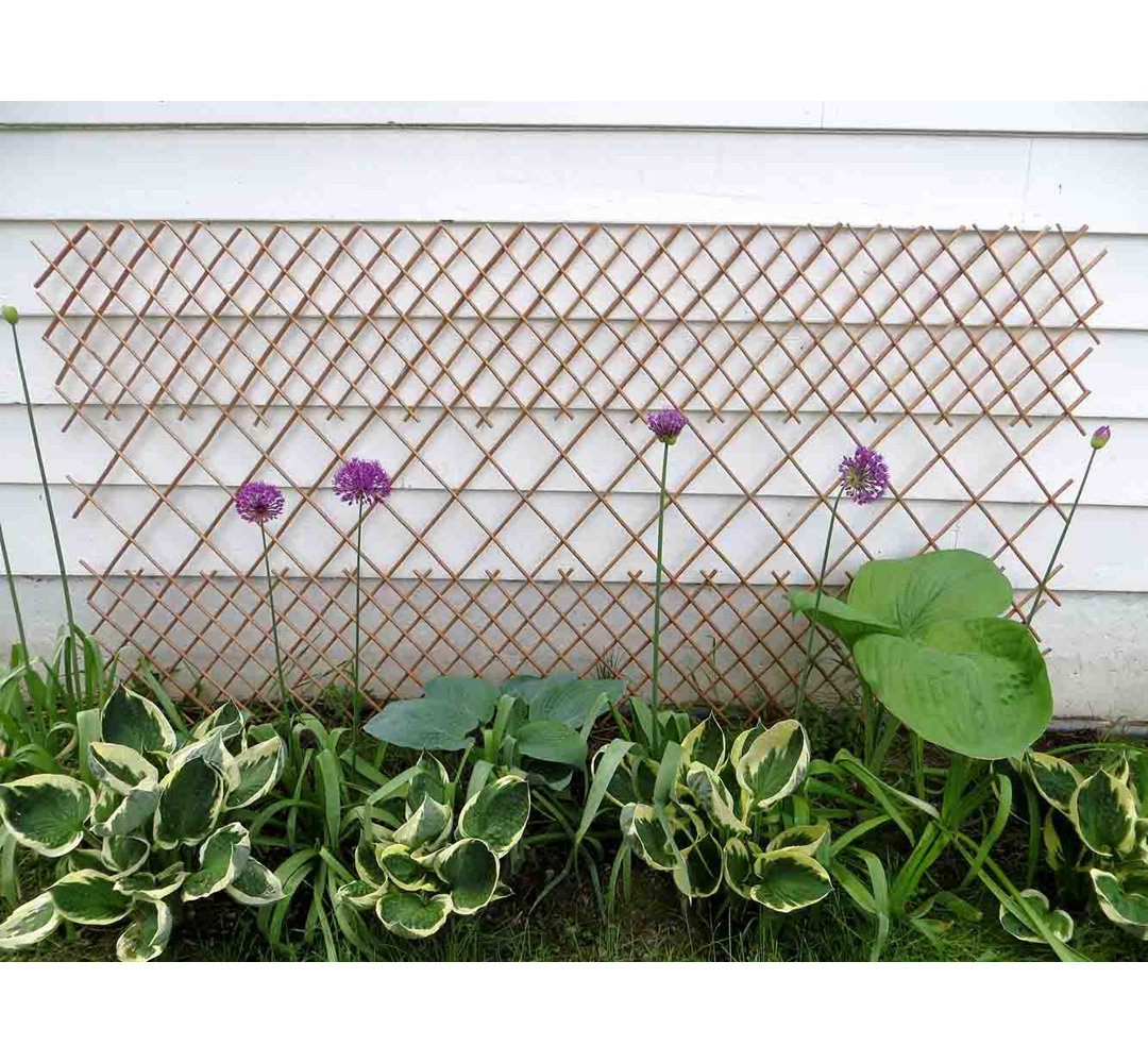 48'' H x 72'' W Wood Expanding Trellis MGP