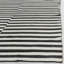 Cameron Striped Area Rug in Black/Ivory-11102563