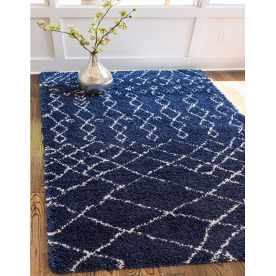 Southwestern Shag Area Rug