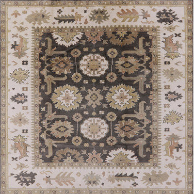 Arshag Oriental Indoor Rug