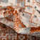 Filey Oriental Terracotta/Ivory Area Rug