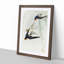 Swallows in Flight by Ohara Koson - Picture Frame Art Print-55616871-55616873