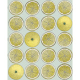 Fornasetti Senza Tempo Geometric Wallpaper Roll