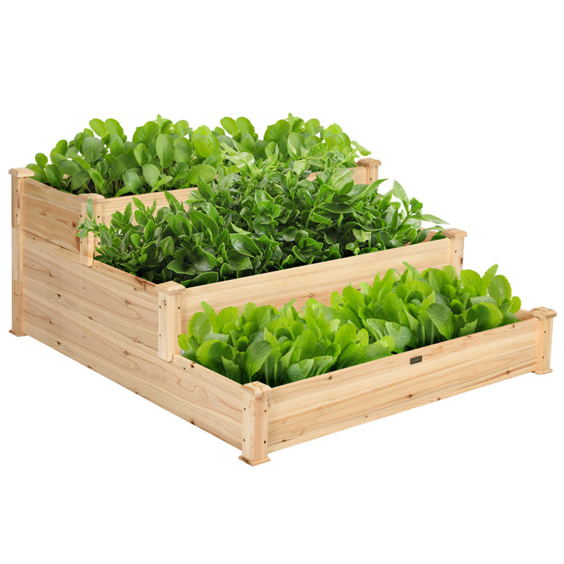 Davin Wood Raised Garden Bed