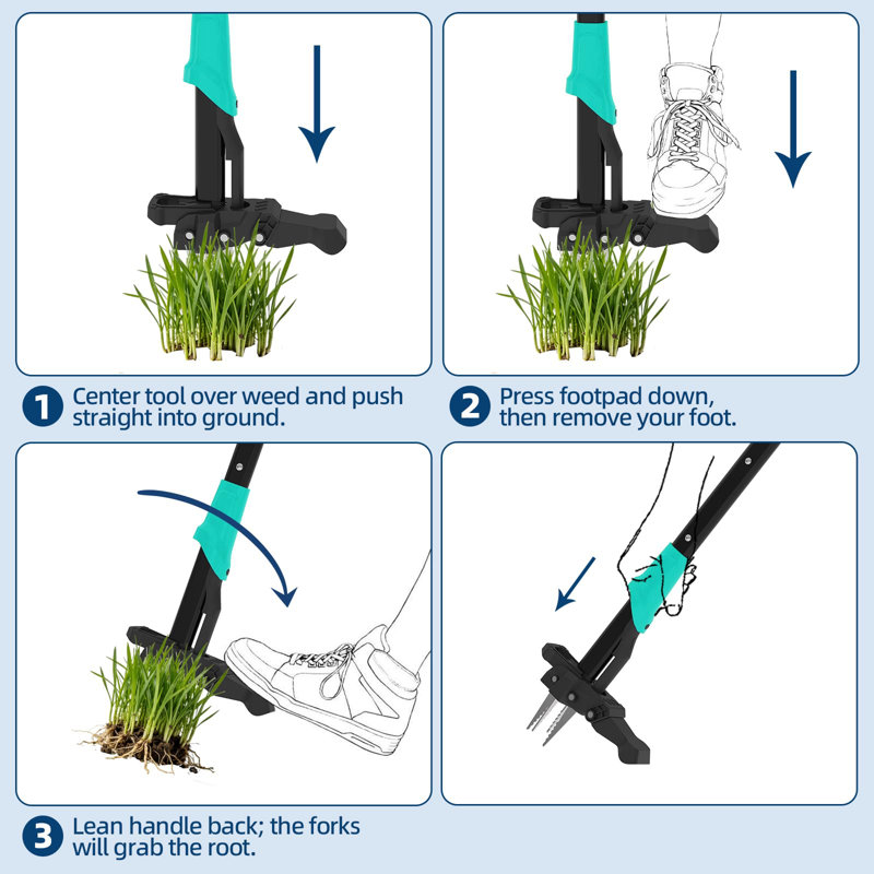 Désherbeur vertical à 4 griffes pour jardin et pelouse - Outil de désherbage ergonomique manuel de 40 pouces - Désherbage facile, fabrication en acier durable, poignée confortable - vert lac