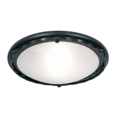 Sackler Glass Flush Mount