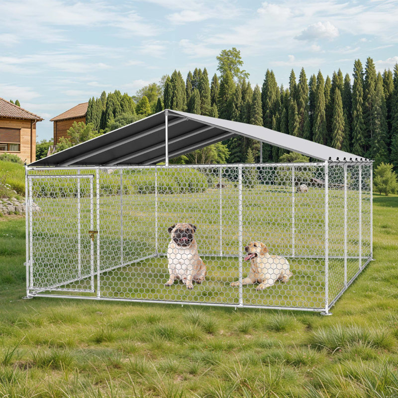 Enclos pour chien Balconera, H 90 po x l 176,40 po x P 176,40 po