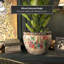 Cache-pot Shewmaker-1825344164-1825344189