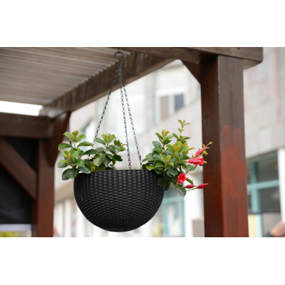 Hanging Planter
