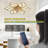 25.5In Ceiling Fan Titanium Gold with Light, Remote Control 3-Colour Temperature, 6-Speed Fanlight