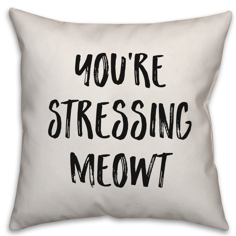 Coussin You Are Stressing Meowt, 20 po x 20 po