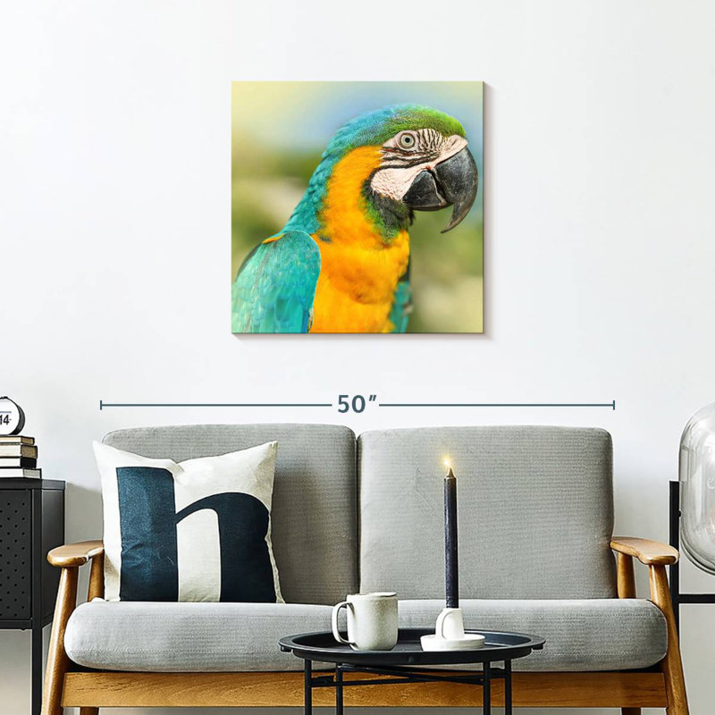 Brampt Parrot, 24" H x 24" W