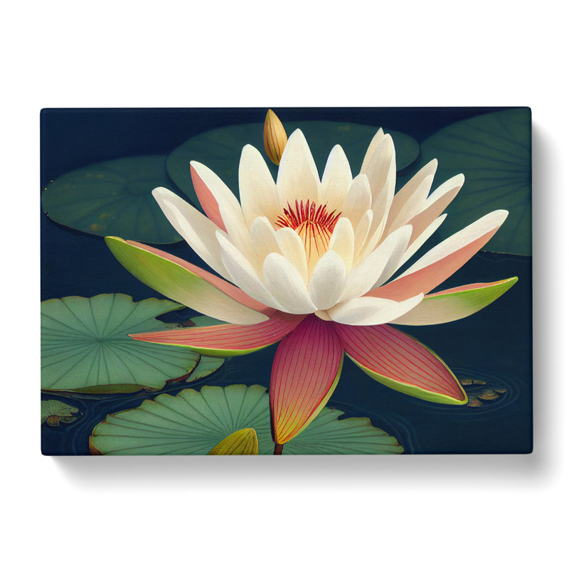 Fantastic Water Lily Flowers - Wrapped Canvas, 35cm H x 50cm W x 3cm D