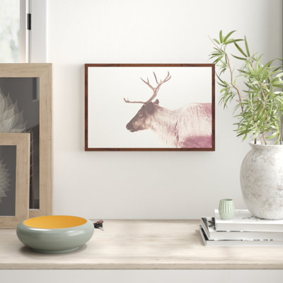 Parvez Taj - Single Picture Frame Print